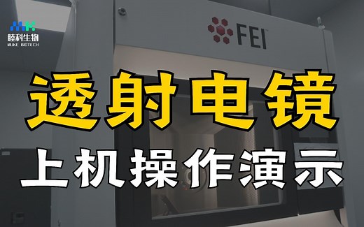 透射电镜 | TEM 上机操作演示以及过程中的细节解析