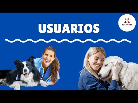 Usuarios y roles en Mi Vete App 3.0 🔐 | Configura permisos y accesos del personal fácilmente