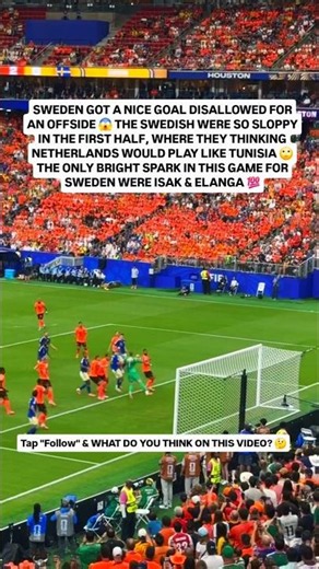 Sweden Disallowed Goal vs Netherlands 😱