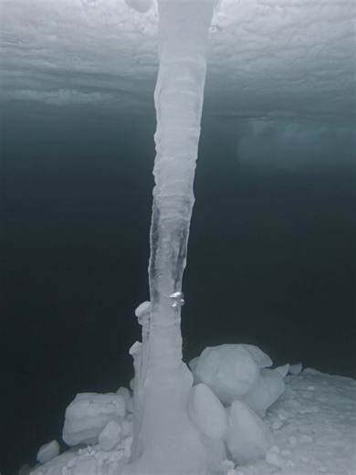 Under Antarctic sea ice, a frozen brinicle grows downward through dark seawater like an icicle forming in reverse#StrangeButTrue #mystery #Explore #Shorts