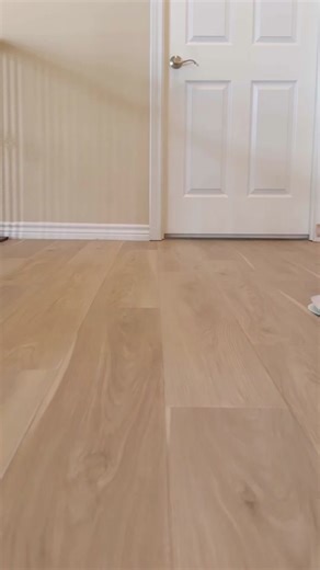 Adorable Maltese Dog Takes on Thanksgiving Turkey!