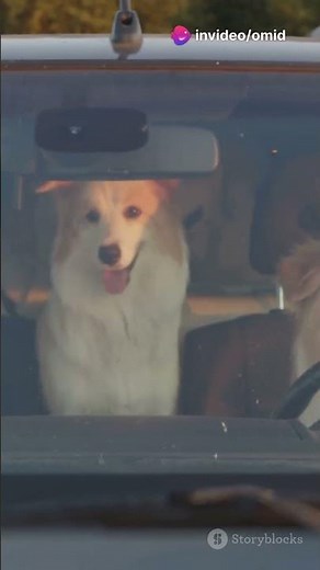 Hilarious Car Commercials in 60 Seconds!