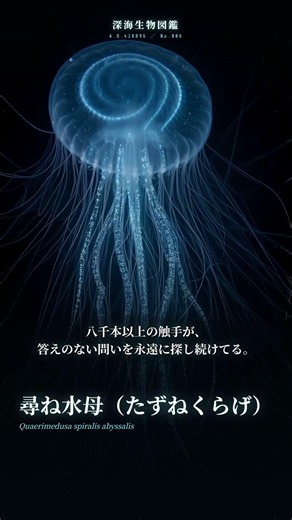未来の深海生物図鑑 No.006｜尋ね水母（たずねくらげ）） #深海生物 #AITuber #深海生物図鑑