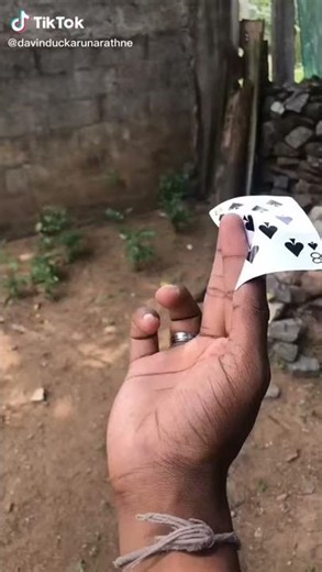 Card fly