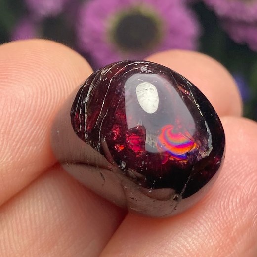 Garnet Crystal - Polished Garnet - Red Garnet - Tumbled Garnet - Garnet Crystal - Garnet Specimen - January Birthstone - Garnet Stone - Etsy