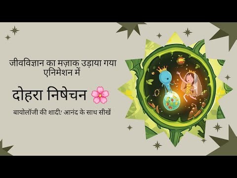 पौधों में दोहरा निषेचन | कहानी और ट्रिक्स के साथ आसान व्याख्या 🌸 | एनसीईआरटी कक्षा 12 जीव विज्ञान