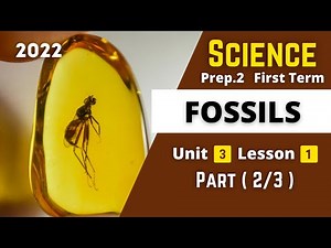 SCIENCE | Prep.2 | Fossils #2 | Unit 3 - Lesson 1
