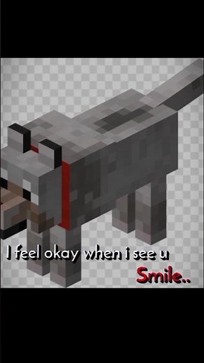 Minecraft, Wolf and Players friendship. #friendship #minecraftreels #minecraft