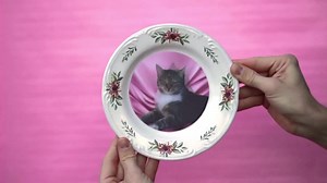 Umbridge's Cat Plates DIY Kit: Lenticular Moving Prints, Wizarding School Decor - Etsy