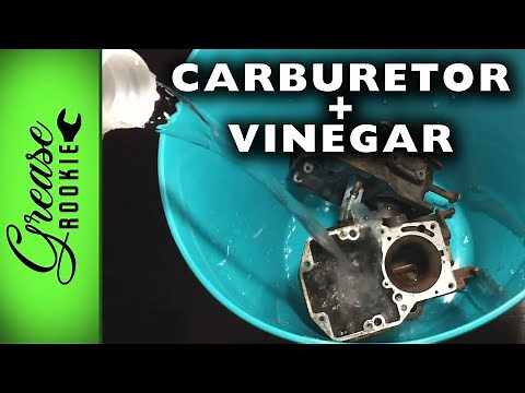 Soaking A Carburetor In Vinegar | Mustang VLOG # 4