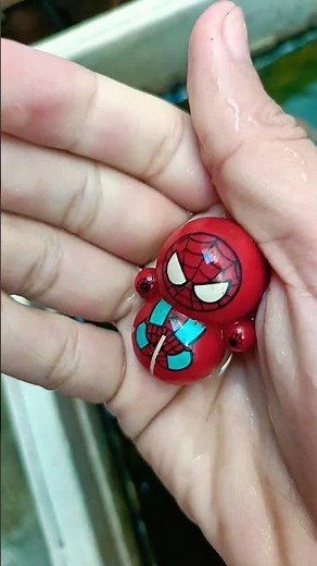 Apparently it's not a red betta fish, bro😭