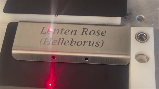 Laser Engraved Rose Marker, Custom Rose Bush Plaque, Rose Name Plaque, Identification Stakes, Rose Garden, Horticultural Society - Etsy