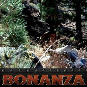 38K views · 1.1K reactions | Bonanza Season 12 Episode 15- A Single Pilgrim - P1 | Bonanza Forever | Facebook