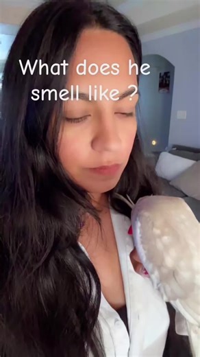 Funny Bird Moments: Humor with Our Feathered Friends