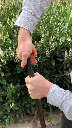 The Best Irish Hiking Stick?