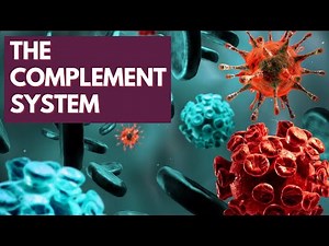 Immunology Lecture 6 - The Complement System