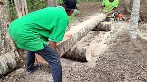 Quick and Smooth Process of Cutting Cast Boards from Wood