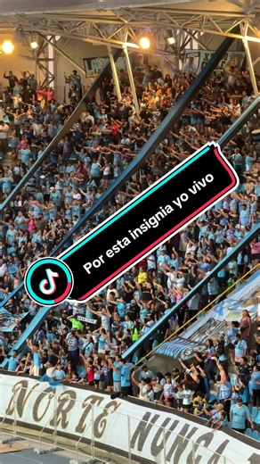 El significado del contrato en la vida y deportes de Iquique