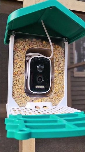 WuzuTech Happy Birdy