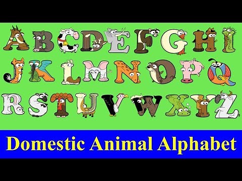Domestic Animals for kids / Alphabet Animal A-Z / a-z pet animals / Alphabetimals ABC / Farm Animals