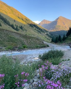 114K views · 4.9K reactions | Nothing beats summer evenings in the San Juan Mountains. We took this shot last year on our way back to camp—such a peaceful and relaxing way to wrap up the day. | Michael J Bauer Photography | Facebook