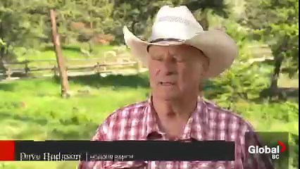 13K views · 277 reactions | Just south of Ashcroft, B.C. lies 120 acres of tranquility. Honour Ranch is a peaceful property designed as a retreat for veterans and first responders and lovingly maintained by a man known as “Super Dave.” And as Jay Durant shows us on This is BC, he has a very personal reason to volunteer his services. | Global BC | Facebook