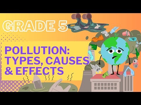 Grade 5 Pollution Explained for Kids, Types, Causes and Effects