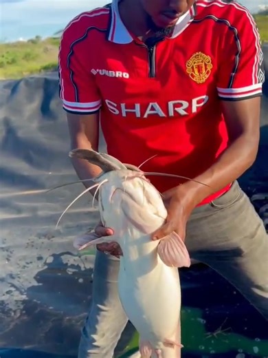 1.1K views · 12 reactions | At #ACS2, Africa launches the Climate Justice Impact Fund for Africa (#CJIFA), empowering local communities with flexible, inclusive climate finance. Supported by #Sweden through Pan African Climate Justice Alliance, this initiative is already transforming lives! https://www.newsghana.com.gh/africa-launches-climate-justice-fund-to-empower-local-communities/ | Embassy of Sweden, Addis Ababa | Facebook