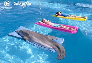 Watch Dolphin Tale 2 Online Full Movie