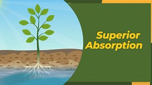 #Redefiningorganic #nanotechnology #CALFINE Transform Your Crops with CALFINE! Calcium Phosphate Phyto Nanoparticles Key Benefits: - Increases Fruit Size - Enhances Color - Improves Firmness - Reduces Storage Disorders - Boosts Calcium Levels in Fruit - 99.99% Plant Availability - Relieves Plant Stress Why CALFINE? - Calcium:Critical for soil pH and plant cell wall development, defending against sodium and soil-borne fungi, creating healthy soil structure. - Phosphate Nanoparticles:Reduce phosph