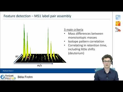 MQSS 2021 | Pre-course: MaxQuant basics 1 | Béla Frohn