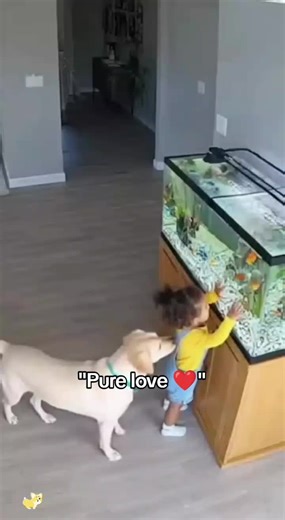 Dog Protecting Baby: A Heartwarming Bond