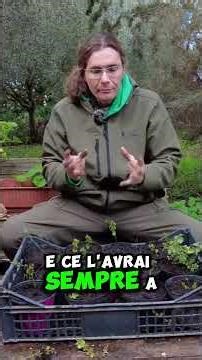 Watering and caring for potted mint | WATCH THE FULL VIDEO