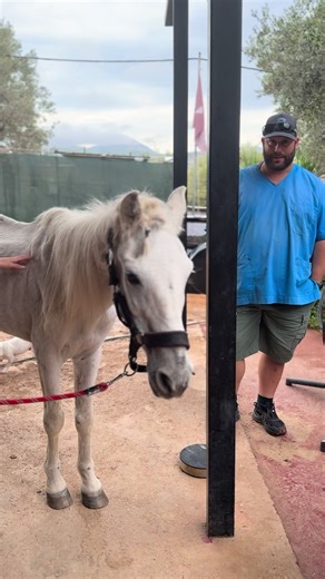 Exploring Global Trends on Greek TikTok