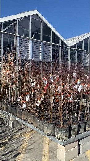 The First Sign Of SPRING Is Here: Prepare Now!