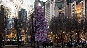 What to know about the Chicago Christmas tree lighting for 2023