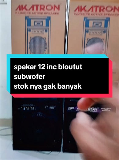 12-Inch Bluetooth Subwoofer for Powerful Sound