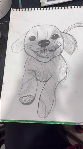 Dog Sketches: A Practice in Fur & Fun