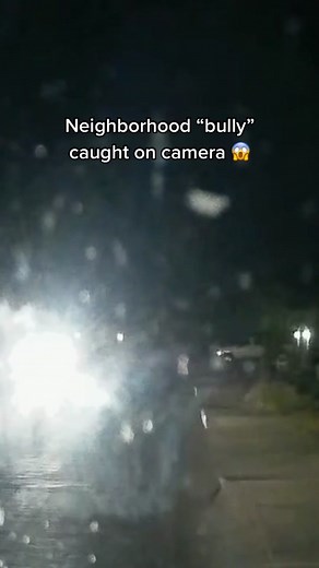 Unmasking the Neighborhood Bully: Caught on Camera Drama