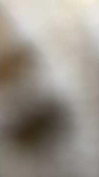 Uncovered allergic sneeze fit after dusting | 19 sneezes