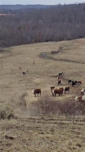 Unexpected Brake System in Bale Rolling