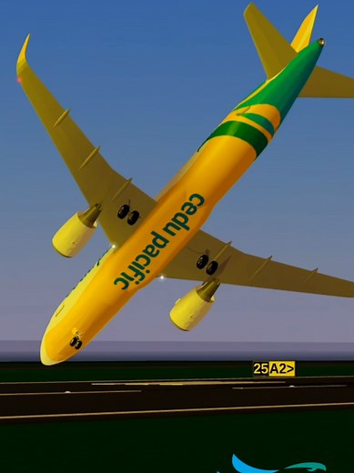 Darling Hold My Hand: Roblox Flight Simulation Fun