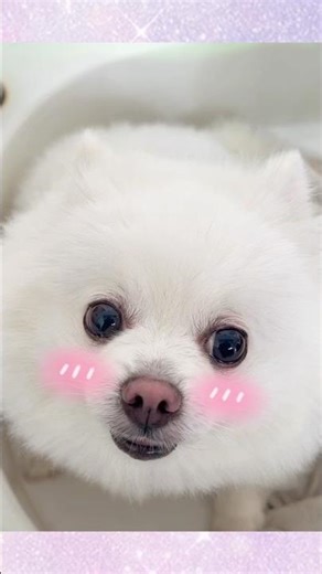 The child is taking a bath.