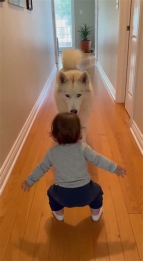 Security Level: Baby 😭🚫🐺