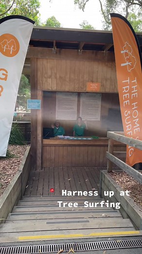 Here's a little sneak peek into the park. You'll have to visit to explore the rest! 🌳🧡#enchantedadventure #morningtonpeninsula #melbournetravel #arthursseat #treesurfing #placestovisit #fyp #gardentok