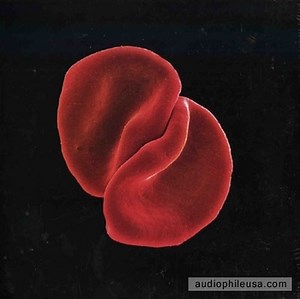 Gabriel, Peter Scratch My Back