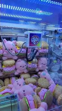 Couldn't Stop Winning From This Claw Machine Only Arcade!