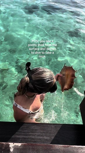 Shell Diving Adventure: Finding the Perfect Seashell in Moorea!