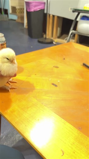 Batman Meme Collection: Sad Moments