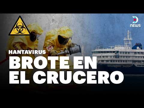 Hantavirus en alta mar: ¿Cómo se originó el brote en el crucero?